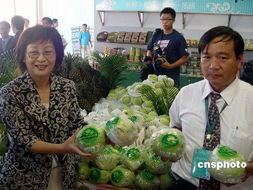 臺(tái)灣云林縣長(zhǎng)被檢方拘提 疑似涉及收賄500萬元