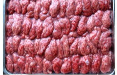 威海昊成貿(mào)易 單擺豬腦 收購豬苦膽 批發(fā)豬副產(chǎn)品 價格豬副產(chǎn)品圖片_高清圖_細節(jié)圖