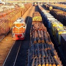  海南省南方原竹木批發(fā)市場 主營 原木 竹. 瓜菜 水