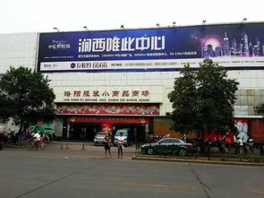 傳瘋了 洛陽萬能生活手冊,這才是會過日子