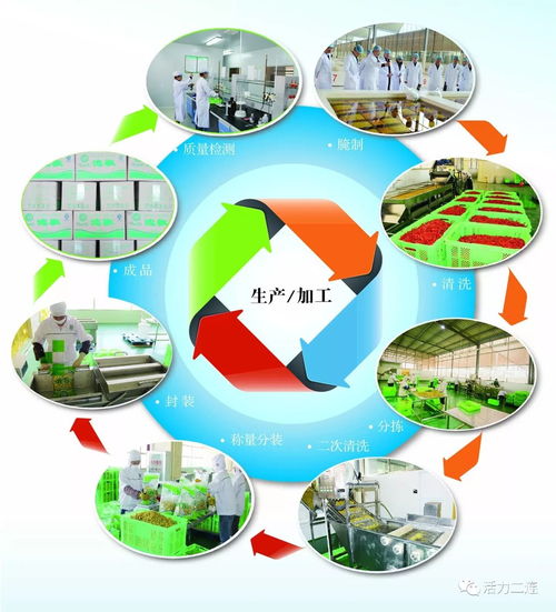 組織會員單位參加二連浩特邊民互市貿(mào)易區(qū)商品展銷會，推動商品零售貿(mào)易發(fā)展